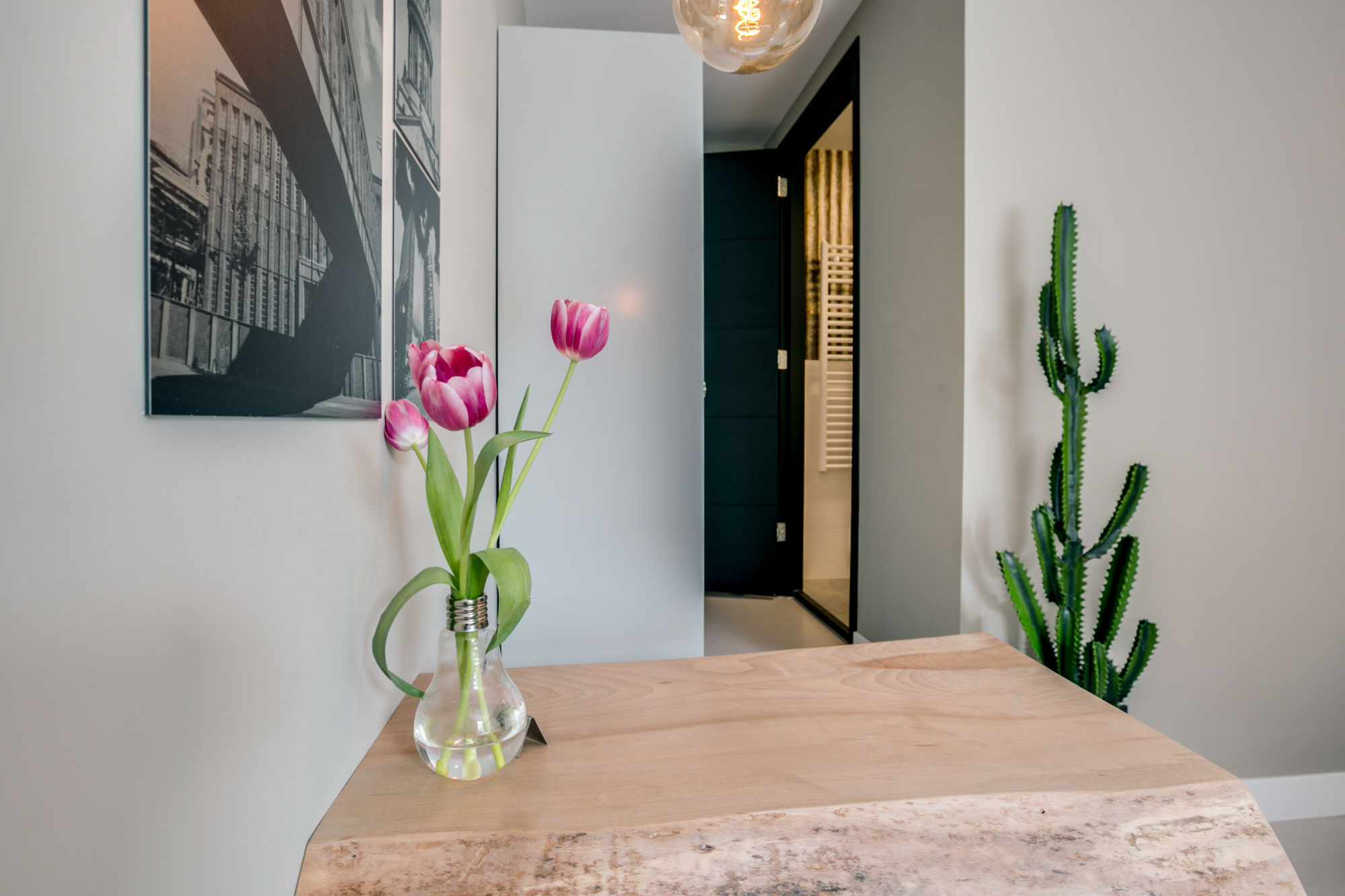 22 Potterstraat, Utrecht 3512 TB, 1 Bedroom Bedrooms, 8 Rooms Rooms,1 BathroomBathrooms,Appartement,Te huur,Potterstraat,1,1017