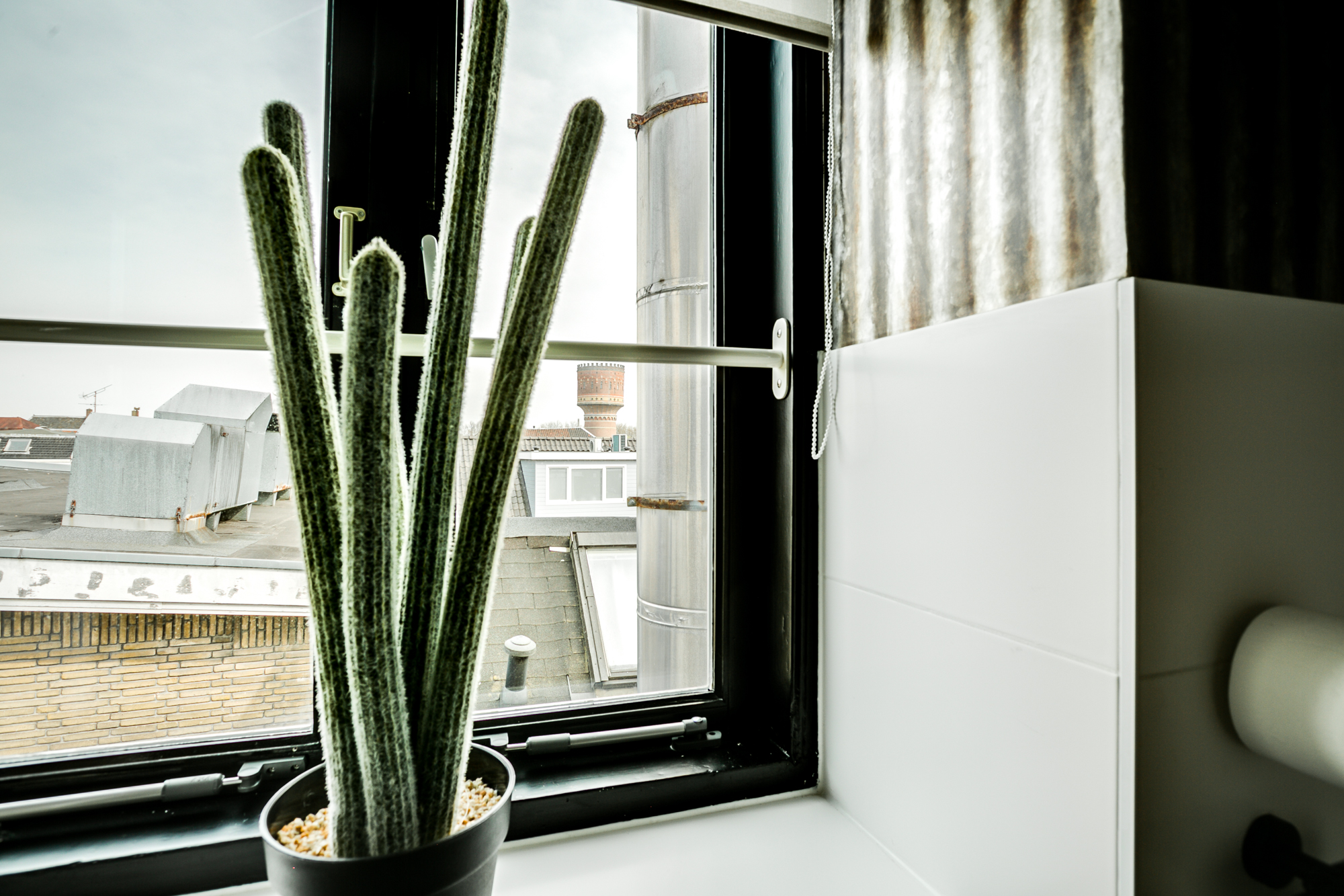 22 Potterstraat, Utrecht 3512 TB, 2 Bedrooms Bedrooms, 8 Rooms Rooms,1 BathroomBathrooms,Appartement,Te huur,Potterstraat,3,1022